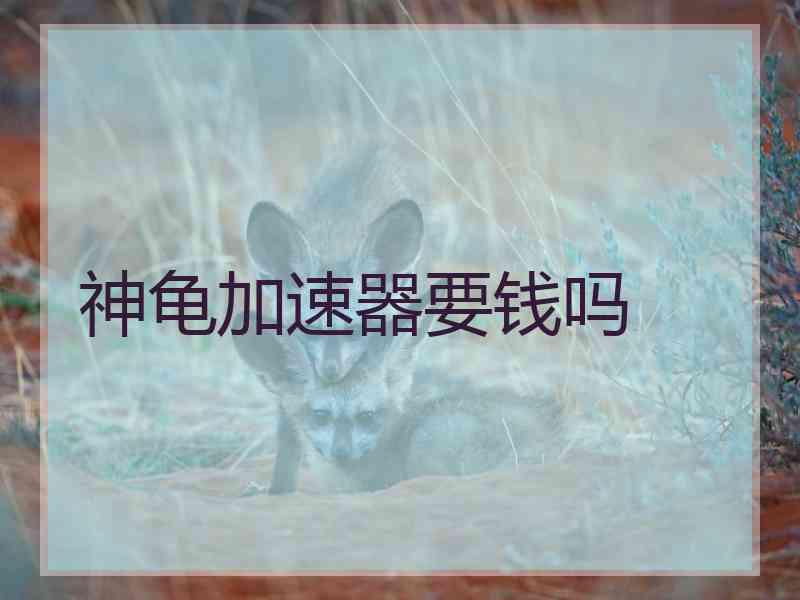神龟加速器要钱吗