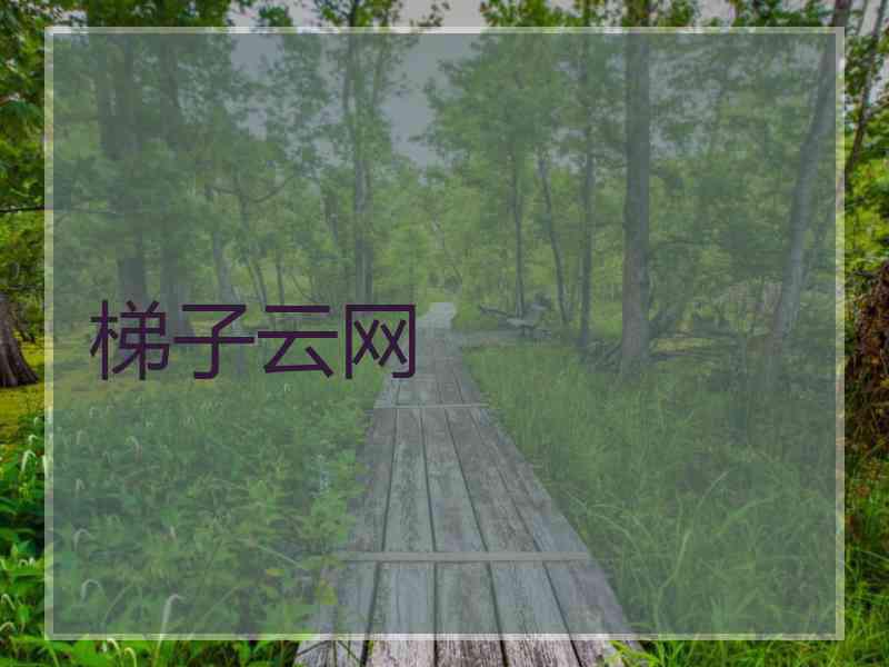 梯子云网