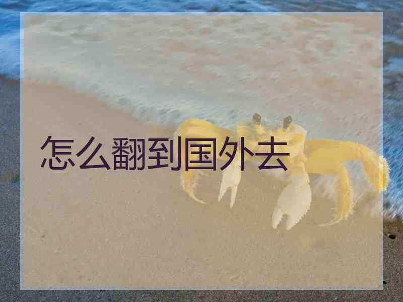 怎么翻到国外去