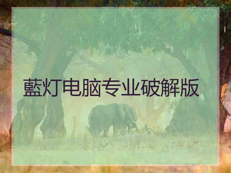 藍灯电脑专业破解版