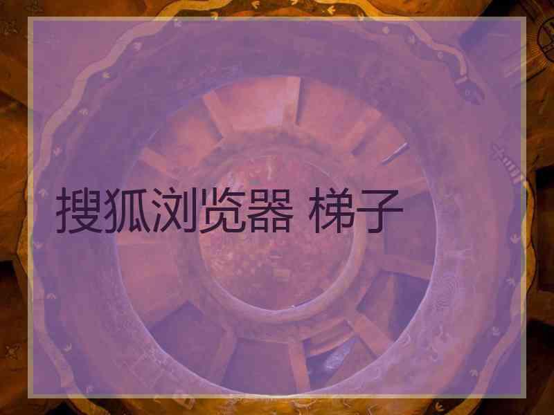 搜狐浏览器 梯子