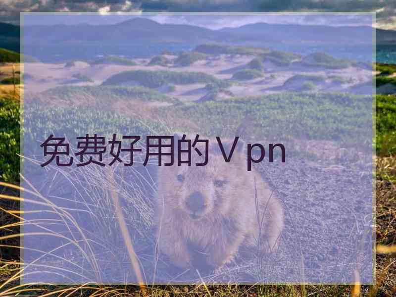 免费好用的Ⅴpn