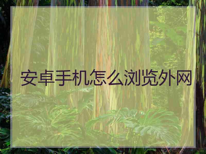 安卓手机怎么浏览外网