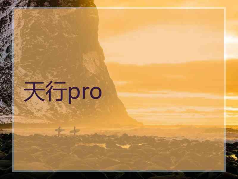 天行pro