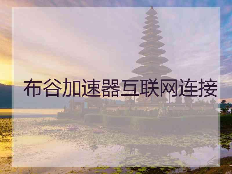 布谷加速器互联网连接