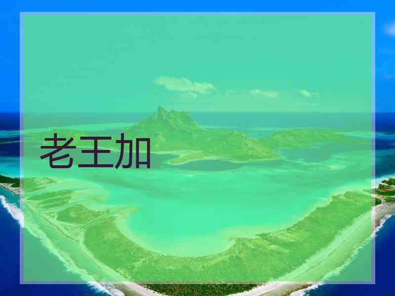 老王加
