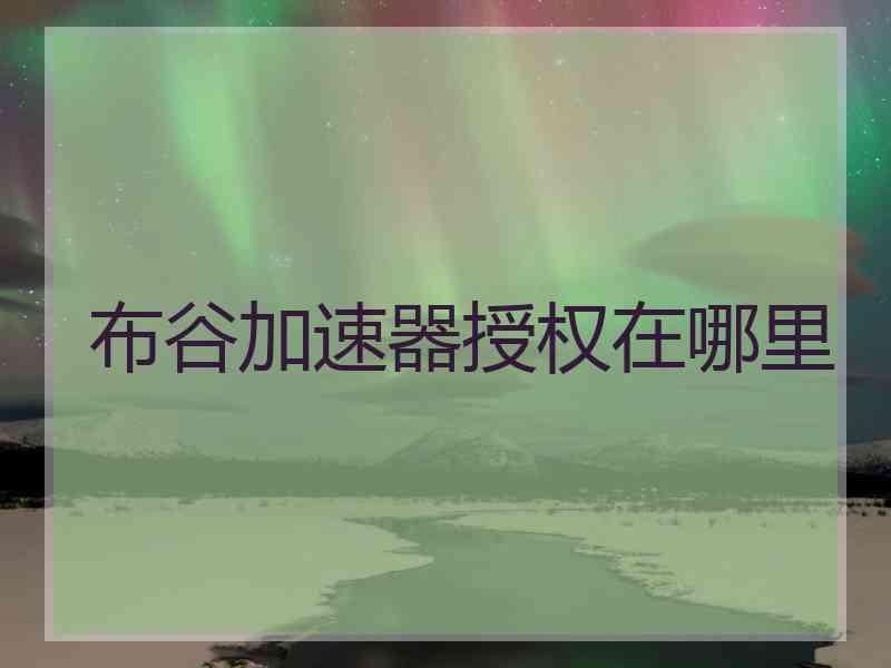 布谷加速器授权在哪里