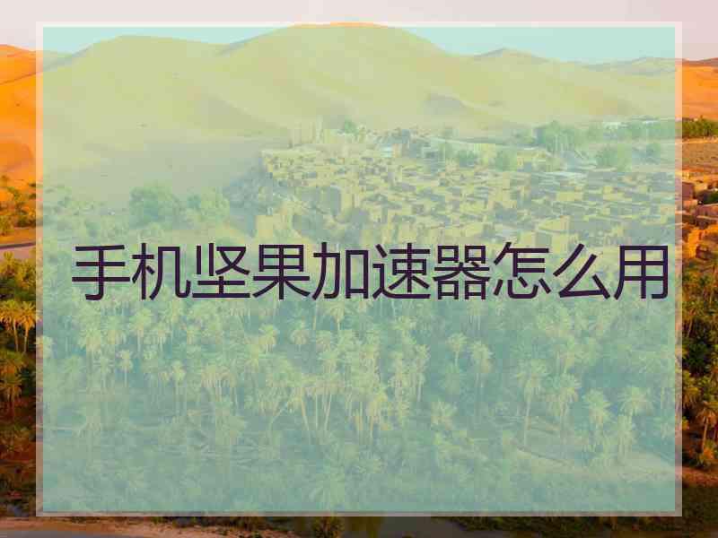 手机坚果加速器怎么用
