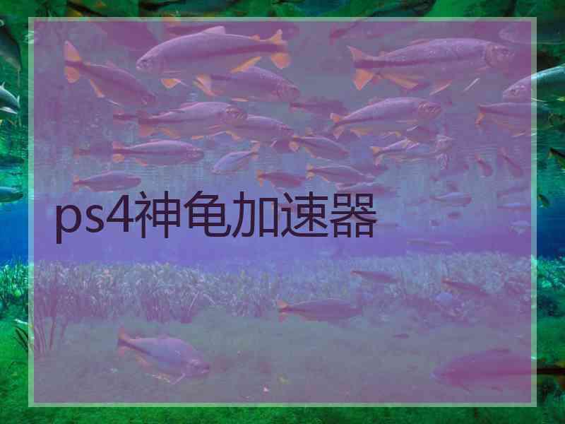 ps4神龟加速器
