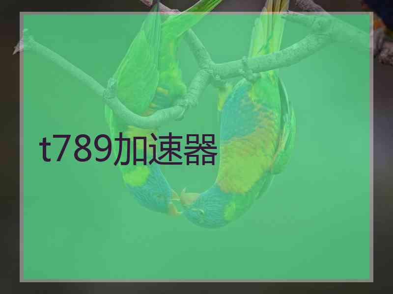 t789加速器