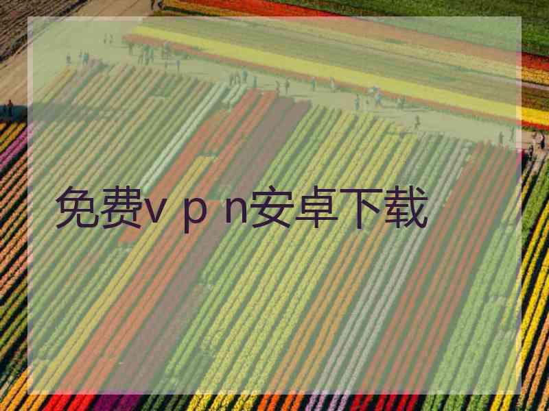 免费v p n安卓下载