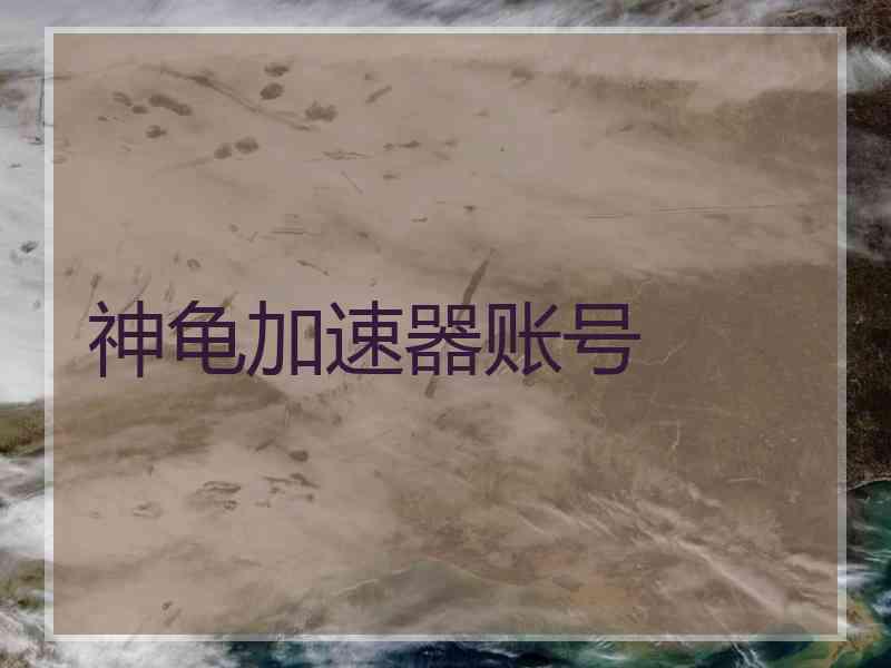 神龟加速器账号