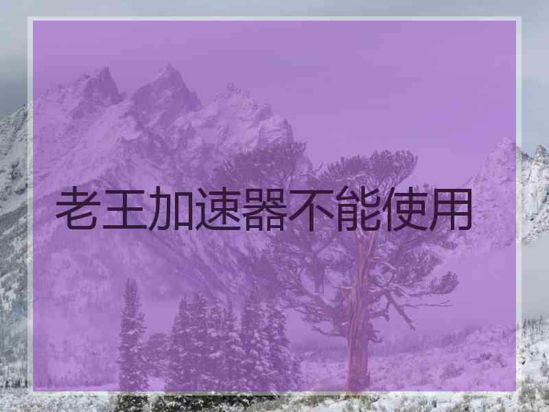 老王加速器不能使用