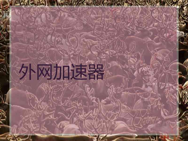 外网加速器