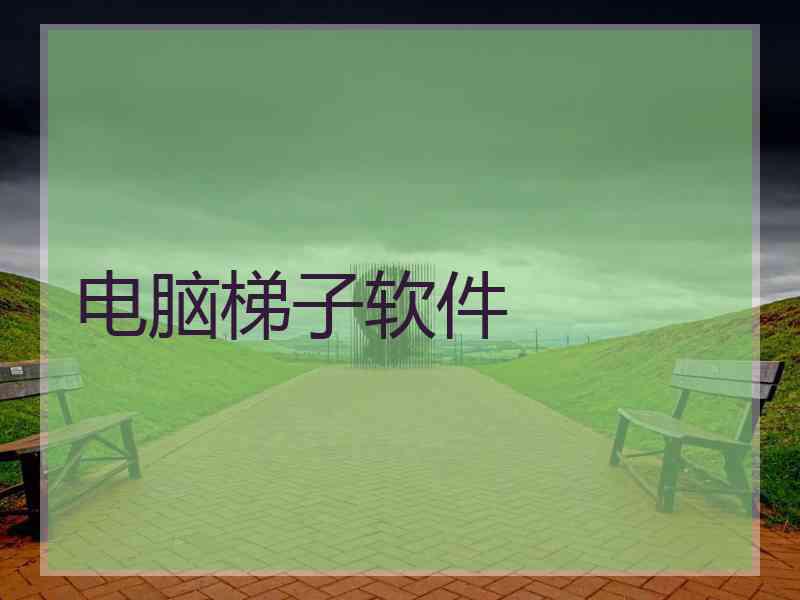 电脑梯子软件