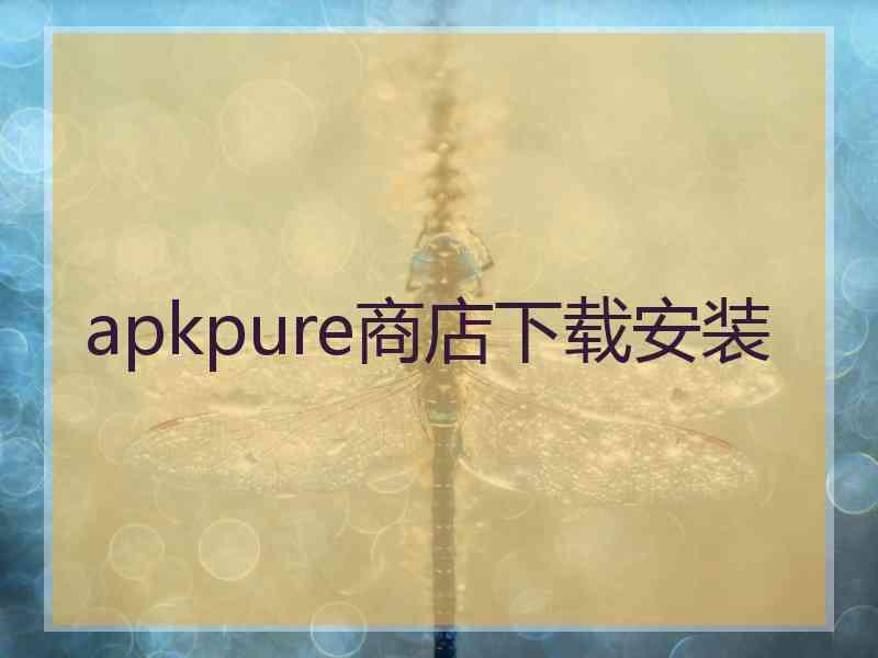 apkpure商店下载安装