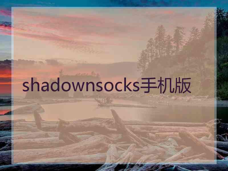 shadownsocks手机版