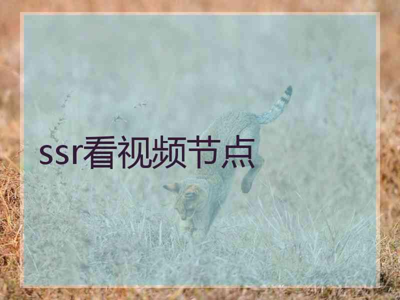 ssr看视频节点