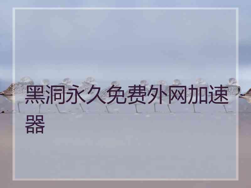 黑洞永久免费外网加速器