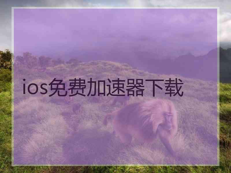 ios免费加速器下载